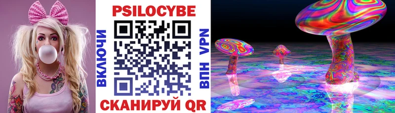 Псилоцибиновые грибы мицелий  купить   Евпатория 
